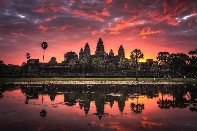 Private Temples Guided Tour (Angkor Wat, Ta Prom & Angkor Thom) - Ta Prohm and the roots through the stone