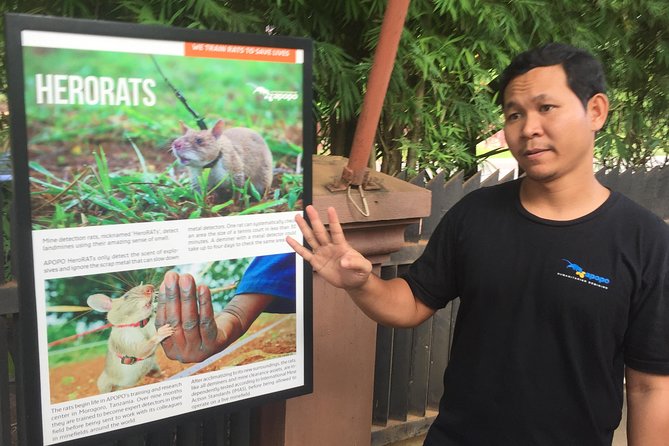 Private Tour: HERO Rats & Angkor National Museum - Is $85 per person good value?