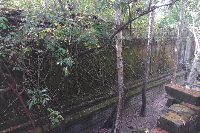 Private Tour to Beng Mealea Jungle Temple and Koh Ker - What Sopheak adds to the day