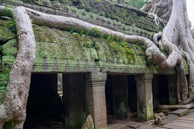 Private Tours Angkor Wat For 3 Days - Packing and planning advice for three hot days