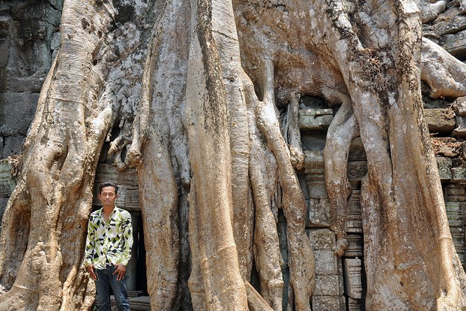 Private Tuk Tuk Tour to Angkor Wat and Small Circle with Two Extras - Ta Prohm and the Tomb Raider effect