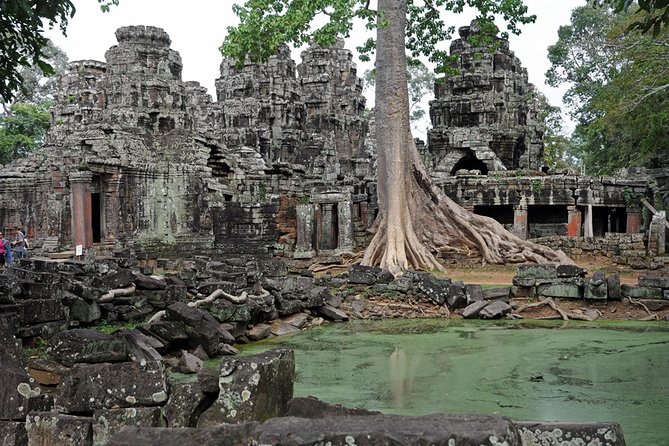 Private Tuk Tuk Tour to Angkor Wat and Small Circle with Two Extras - Ta Nei, the quieter jungle detour