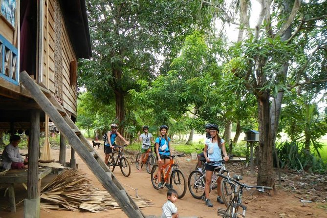 Rice Fields & Rural Villages Tour - Rice paddies, wooden homes, and village roads