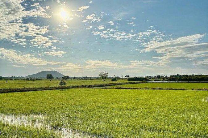 Rural Countryside Experience Tour in Siem Reap - What the $105 group price really buys