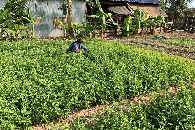 Rural Countryside Experience Tour in Siem Reap - Thanut Kean’s role in the experience