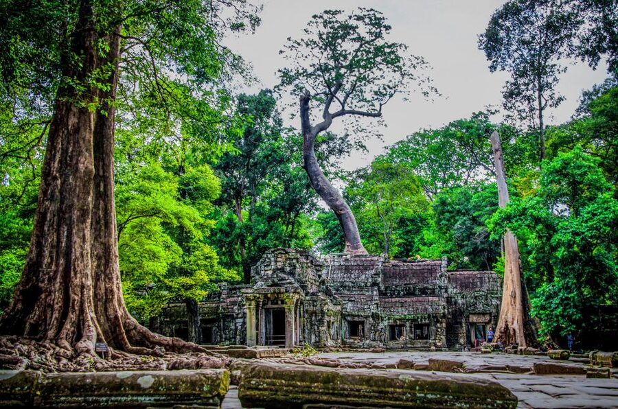 Seat-In-Coach: Small Circuit tour with Sunrise at Angkor Wat - The pace, group size, and coach ride