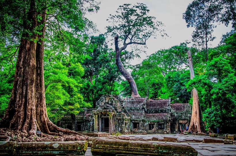 Seat-In-Coach: Small Circuit tour with Sunrise at Angkor Wat - Who should book this Angkor sunrise tour?