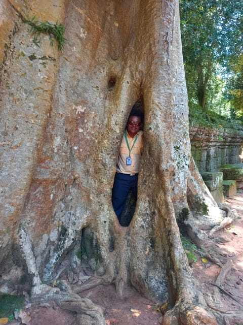 Shared day tour with Spanish-speaking guide at Angkor Temple. - The Elephant and Leper King terraces