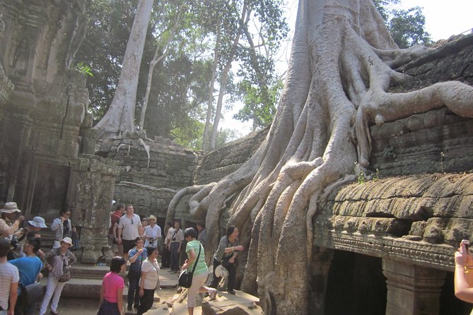 Shared Tour to Angkor Wat, Bayon and Ta Prohm Temples - Why this short Angkor circuit works