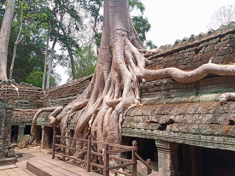 Sharing Trip to Angkor Temple with sunset - A long Angkor day for $19