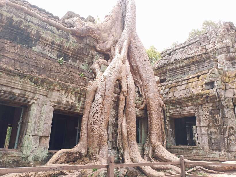 Sharing Trip to Angkor Temple with sunset - What the guide adds