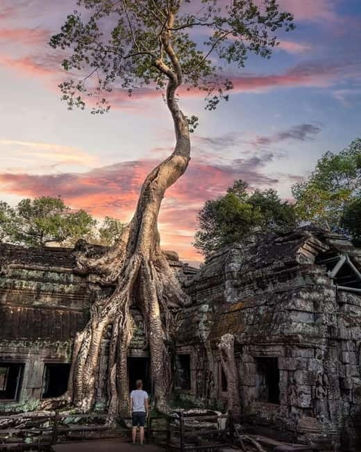 Siem Reap: 2-Day Private Angkor Wat & Angkor Temples Tour - Key points at a glance