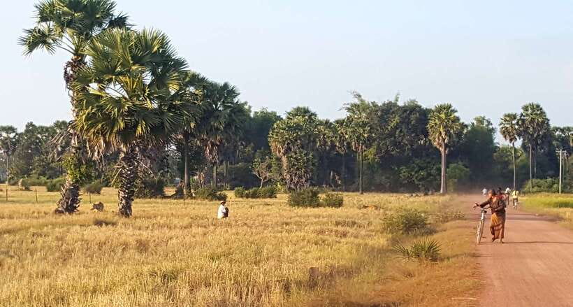 Siem Reap: 3-Hour Ancient Trails Motorbike Tour - Key points before you book