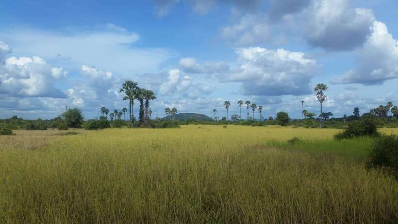 Siem Reap: 3-Hour Ancient Trails Motorbike Tour - Morning or afternoon departure?