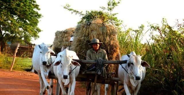 Siem Reap: 3-Hour Ancient Trails Motorbike Tour - Why this ride gives you a different Siem Reap