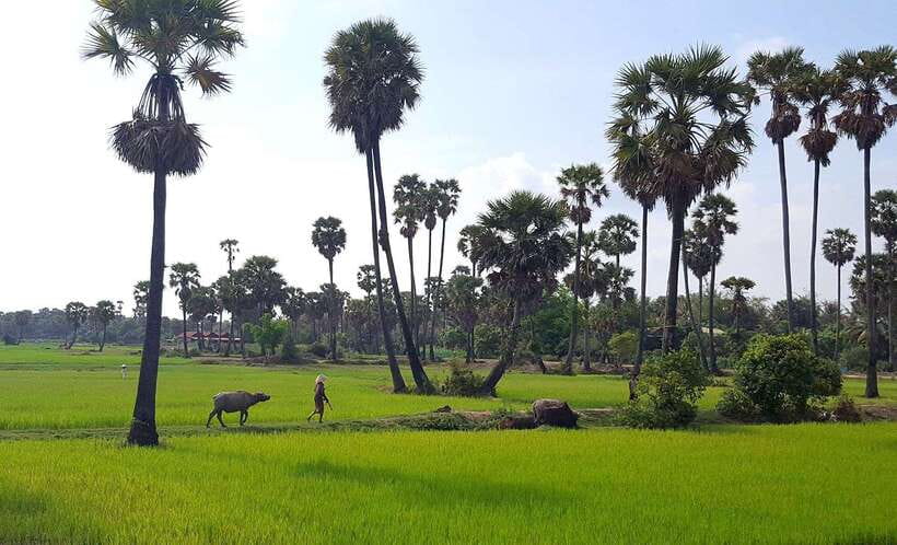 Siem Reap: 6-Hour Easy Rider Motorbike Tour - Key points to know before you book