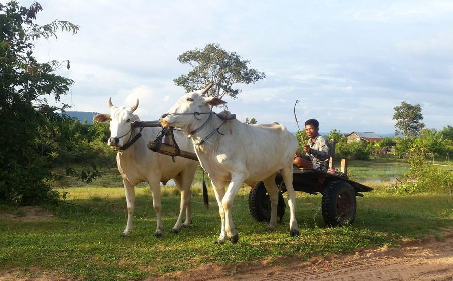 Siem Reap: 6-Hour Easy Rider Motorbike Tour - The ride back and what six hours feels like