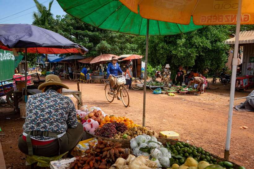 Siem Reap: Afternoon Cooking Class & Village Tour - Key points at a glance