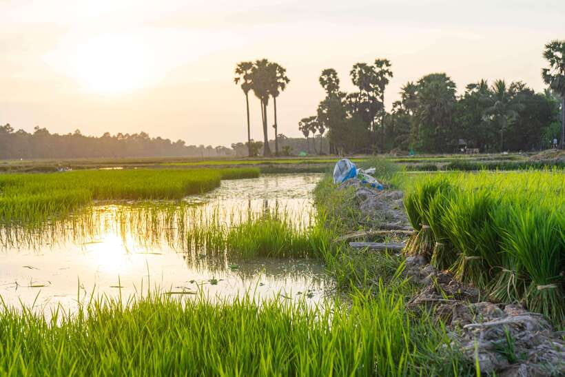 Siem Reap: Afternoon Cooking Class & Village Tour - Taking the recipes home