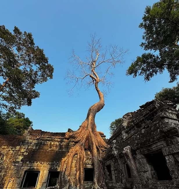 Siem Reap: Angkor 1-Day Private Tour with Sunset or Sunrise - Why a private Angkor tour can be worth the money