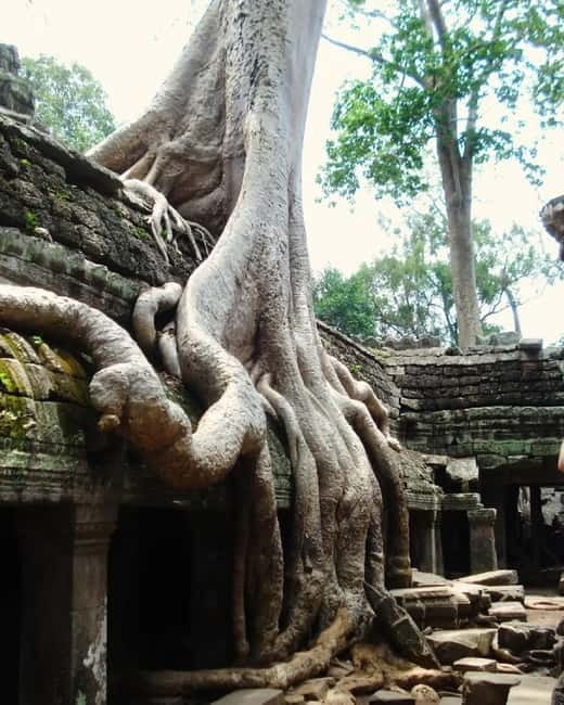 Siem Reap: Angkor 1-Day Private Tour with Sunset or Sunrise - Dress, tickets and who should choose this tour