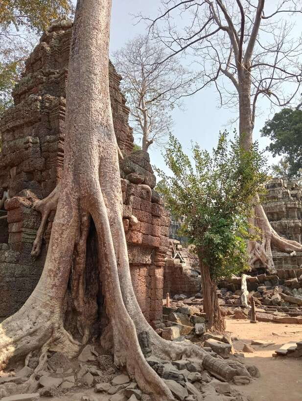 Siem Reap: Angkor Full-Day Group Tour with Japanese Guide - What the $50 tour really gives you