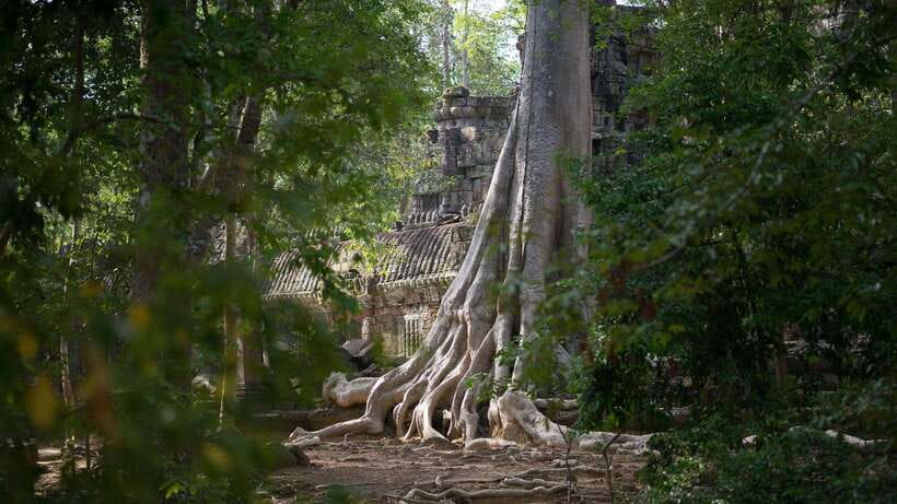 Siem Reap: Angkor Temples Off-Track Bicycle Tour - Why the bicycle route changes Angkor