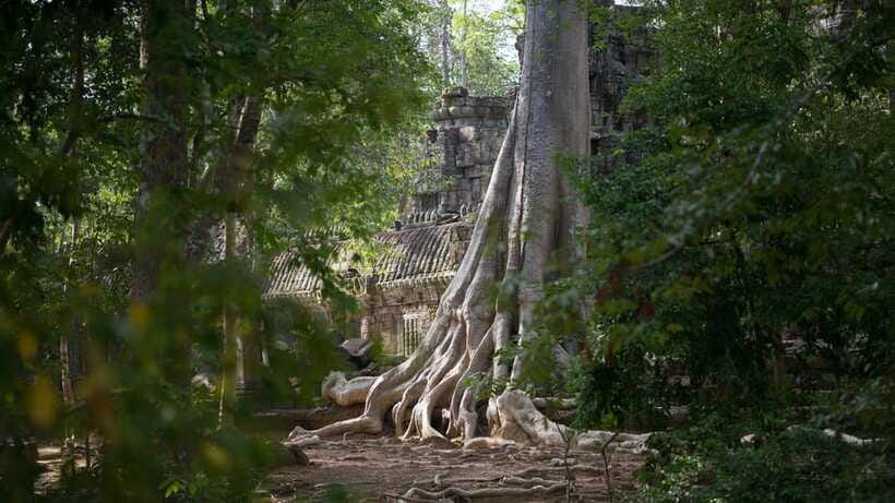 Siem Reap: Angkor Temples Off-Track Bicycle Tour - What $65 gets you