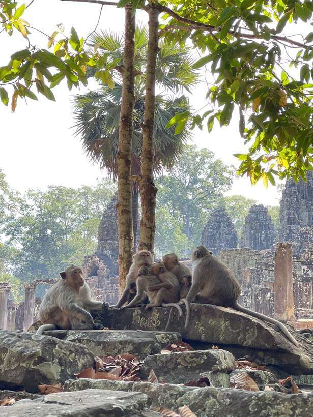 Siem Reap: Angkor Wat Private full Day Tour - Lunch and a necessary break