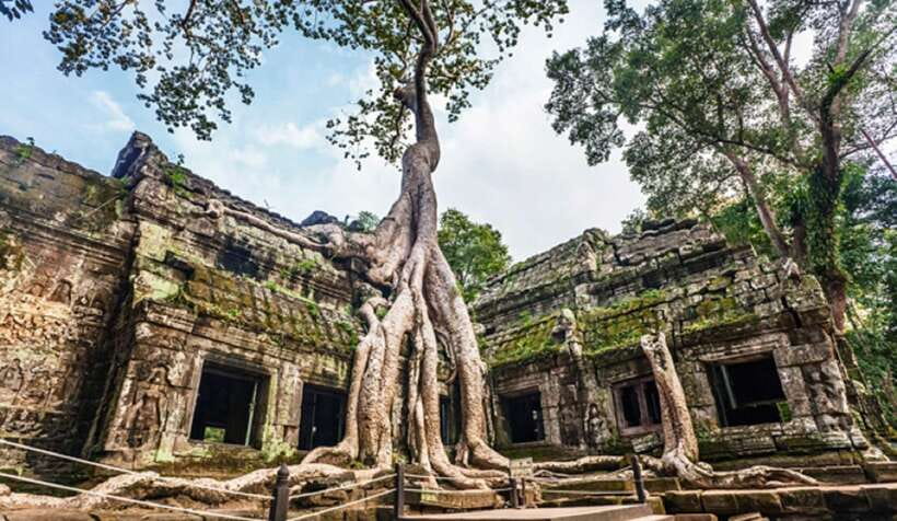 Siem Reap: Angkor Wat: Small-Group Sunrise or Sunset Tour - How much value do you get for $15?