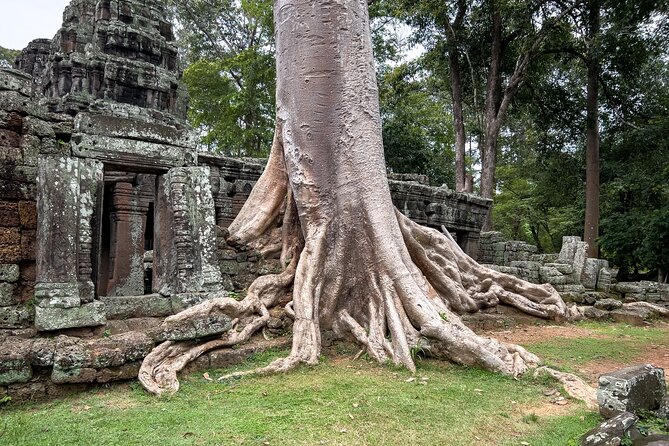 Siem Reap: Angkor Wat Sunrise Bike Tour & Jungle Breakfast - The Terrace of the Elephants by bike