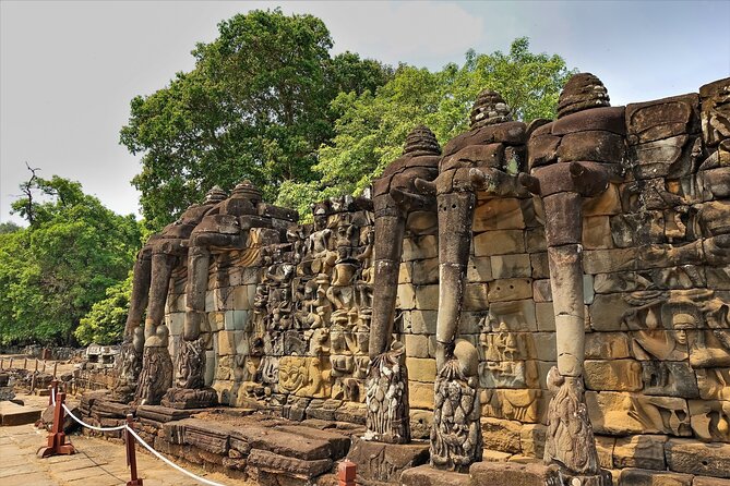 Siem Reap: Angkor Wat Sunrise Bike Tour & Jungle Breakfast - Ta Prohm, trees, roots, and ruined corridors