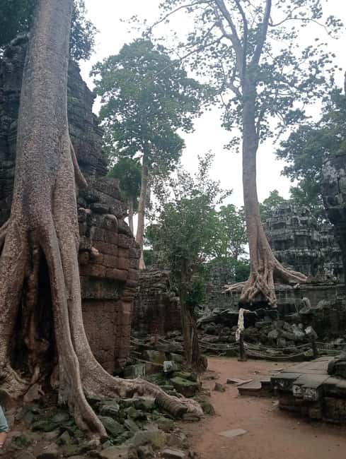 Siem Reap: Angkor Wat Tour with Italian-Speaking Guide - Should you book this Angkor tour?