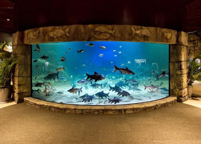 Siem Reap: Angkor Wildlife & Aquarium Entrance Ticket - Starting with the wildlife sanctuary