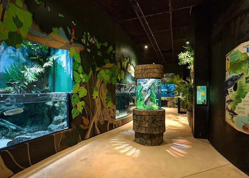 Siem Reap: Angkor Wildlife & Aquarium Entrance Ticket - The aquarium’s freshwater and marine displays