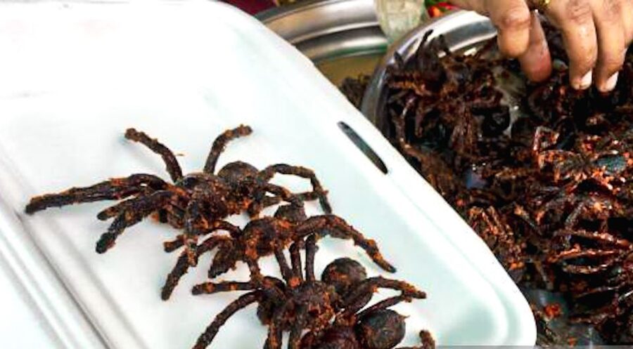 Siem Reap: Cambodia local street foods and local guide - Is $90 good value?