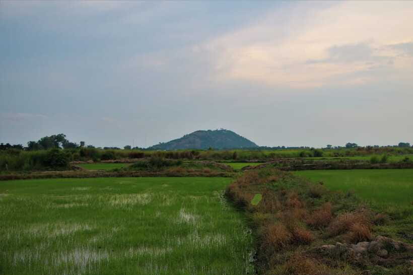 Siem Reap: Countryside Cycle and Local Village Life Tour - Duck farming and the work behind village food