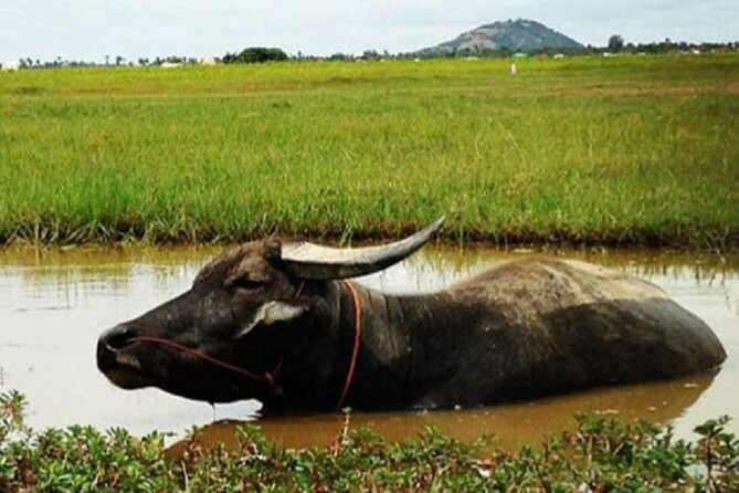 Siem Reap Countryside Sunset Jeep Tour - Half-day - Is $50 per person a fair price?