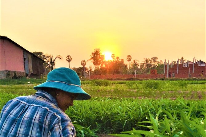 Siem Reap Countryside Sunset Jeep Tour - Half-day - Who should book this countryside evening?