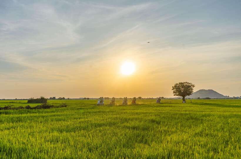 Siem Reap Countryside Sunset Vespa Tour or Tuk Tuk - Key points to know