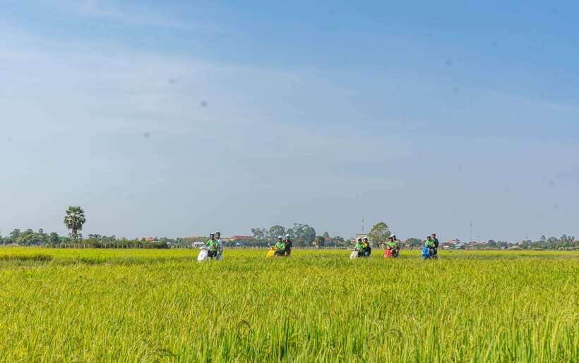Siem Reap Countryside Sunset Vespa Tour or Tuk Tuk - Sunset near Phnom Krom
