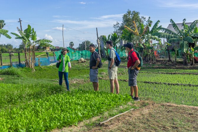 Siem Reap Countryside Sunset Vespa Tour / Tuk Tuk Available - Food, drinks, timing, and practical comfort