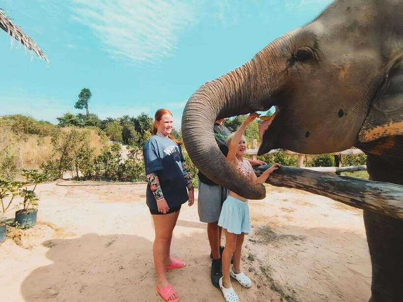 Siem Reap: Elephant Sanctuary Included Hotel Pickup Drop-off - A close encounter built around elephant care