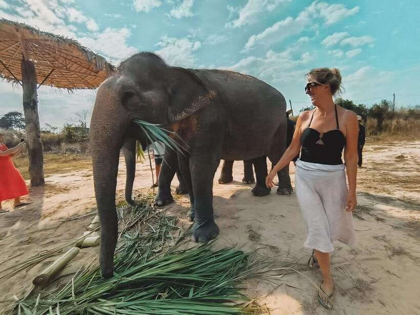 Siem Reap: Elephant Sanctuary Included Hotel Pickup Drop-off - A short break with fruit, water, and coffee