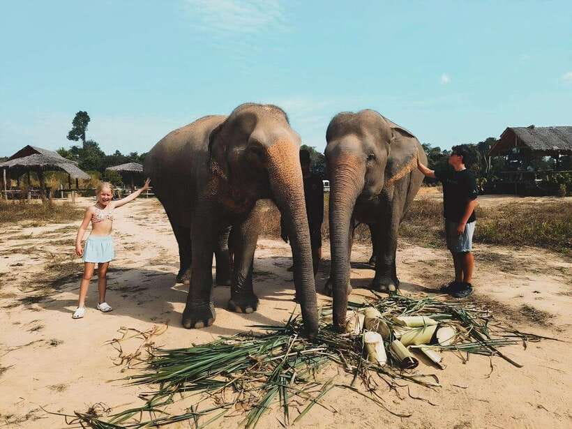 Siem Reap: Elephant Sanctuary Included Hotel Pickup Drop-off - What $128 per person includes