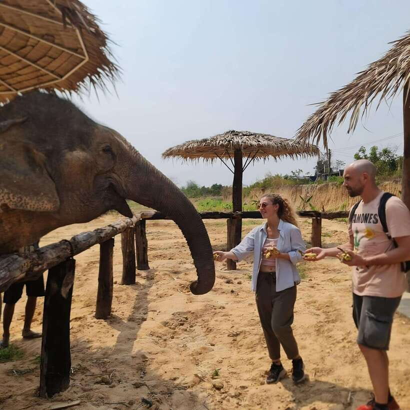 Siem Reap: Elephant Sanctuary Included Hotel Pickup Drop-off - Getting there from Siem Reap