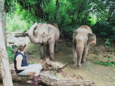 Elephants & Apopo Rat Demining Private Trip