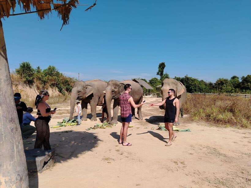 Siem Reap: Elephants & Apopo Rat Demining Private Trip - Choosing the one-hour or two-hour elephant visit