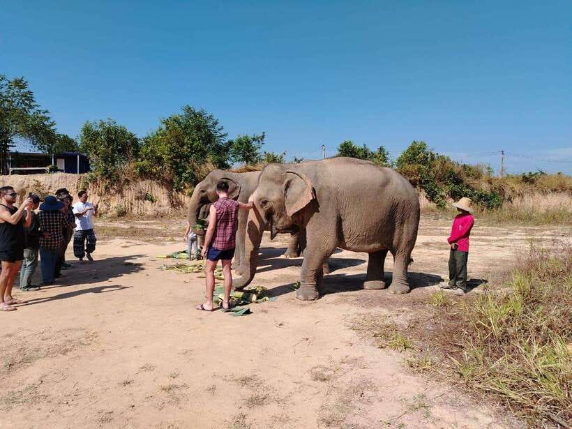 Siem Reap: Elephants & Apopo Rat Demining Private Trip - Who will get the most from this day?