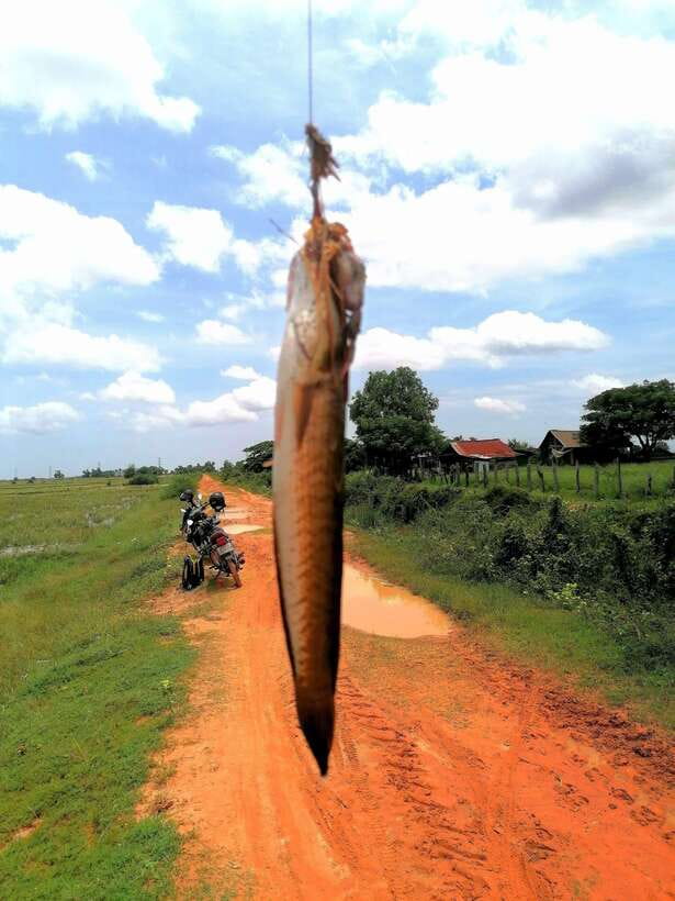 Siem Reap: Fishing in the rice fields, in the villages of Siem Reap - What the $68 price includes